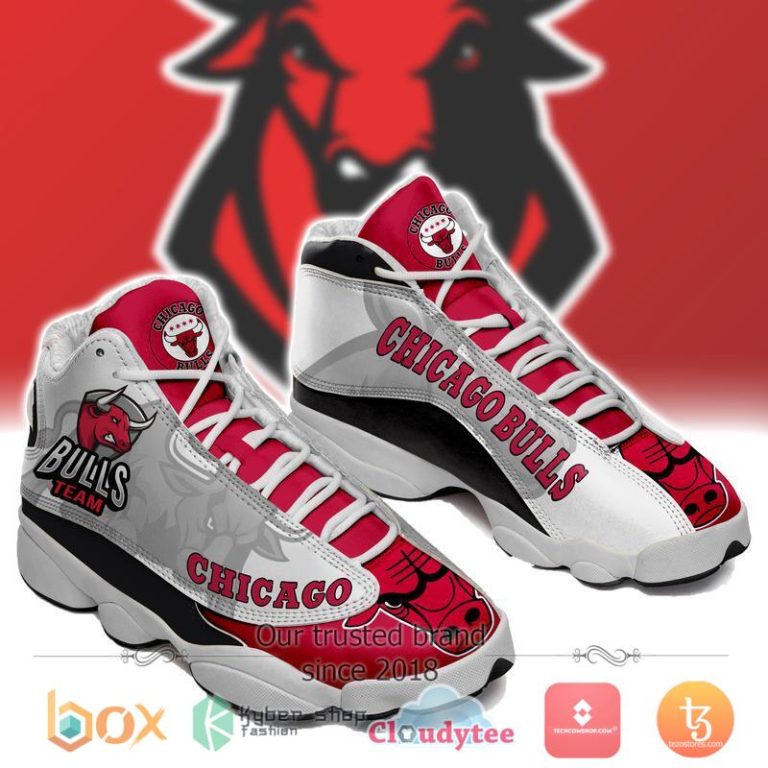 Nba-Chicago-Bulls-Sneakers-Shoes-1